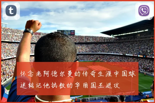 怀念老阿德尔曼的传奇生涯中国球迷铭记他执教的华丽国王进攻